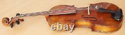 Vielle violon vintage 4/4 étiquette LORENZO VENTAPANE Nr. 1687