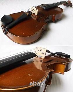 Vieux Violon Tchèque Cremona Luby 1967 Video Antique Violino 176