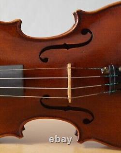 Vieux violon vintage 4/4 étiquette POLLASTRI GAETANO Nr. 1778