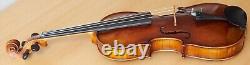 Vieux violon vintage 4/4 étiquette POLLASTRI GAETANO Nr. 1778