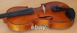 Vieux violon vintage 4/4, geige, alto, violoncelle estampillé FRIEDRICH MAULER Nr. 1346