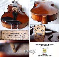 Violin Neuner Et Hornsteiner Violin? Le Maître De L'antique? 803