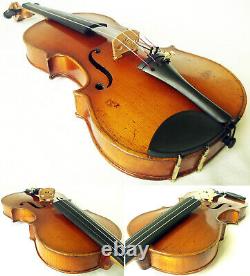 Violine Stradiuarius De La Violine De La Violine De La Téchèque - Mastre D'antique? 366