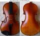 Violine Violine Fine Vers Les Années 1950 Voir Violino Violino Antique? 076