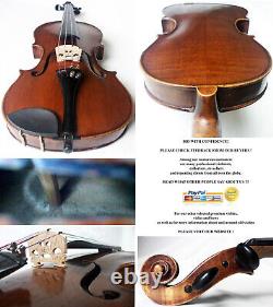 Violine Violine Fine Vers Les Années 1950 Voir Violino Violino Antique? 422