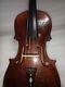 Violon Hopf Ancien Et Vintage De Taille 4/4, Ton Incroyable