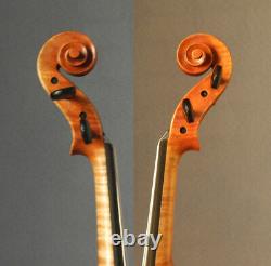 Violon Professionnel 4/4 Violon Guarneri Cannone Moelleux Ton Plein Violon Geige
