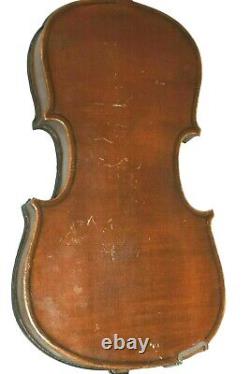 Violon antique du XIXe siècle HOPF Taille 1/2 Dos en une pièce de tigre RESTAURATION