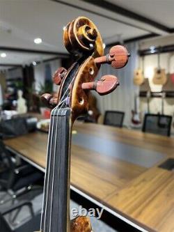 Violon professionnel ancien vintage 4/4 limité / Fabriqué à la main / Bois séché depuis 20 ans